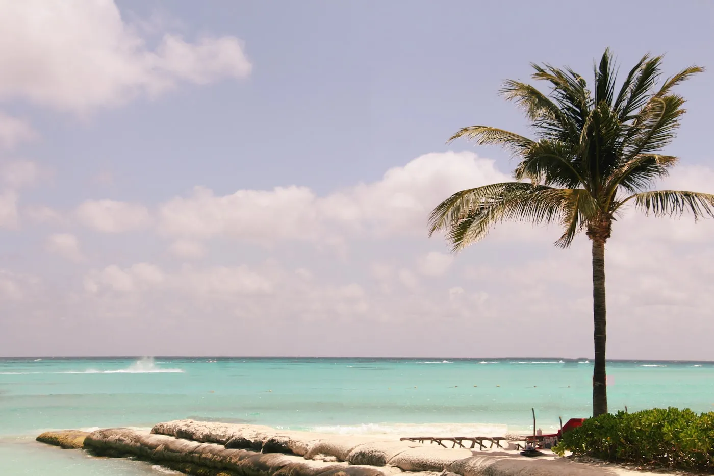 A palm tree leaning over a Cancun beach beside calm turquoise Caribbean water