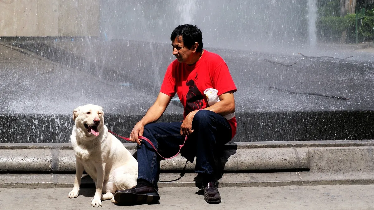The fountain and greenery of Plaza Rio de Janeiro in the Roma Norte neighborhood of Mexico City, with a local resting on the edge