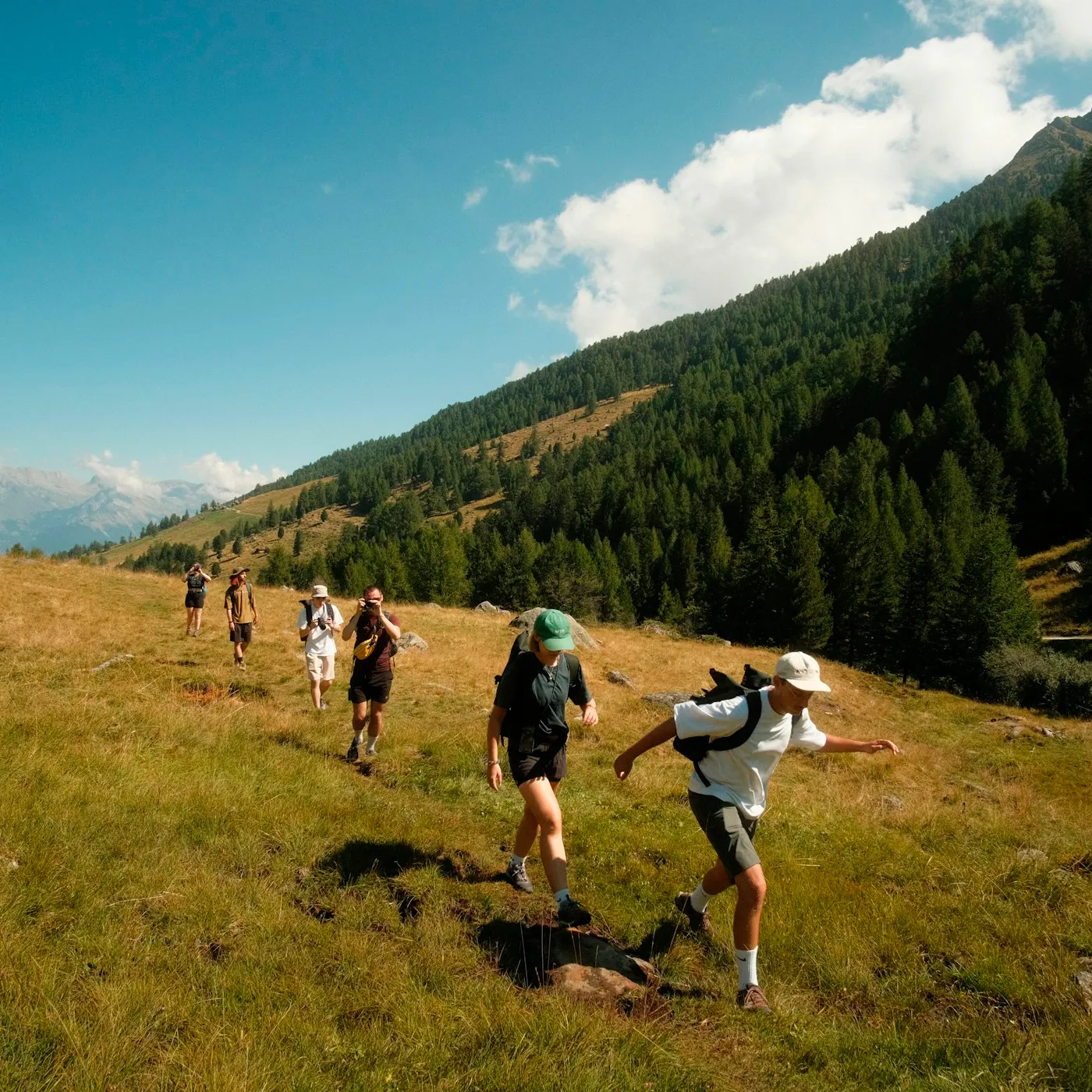 A small group of women hikers walking a mountain trail together on a guided women-only tour